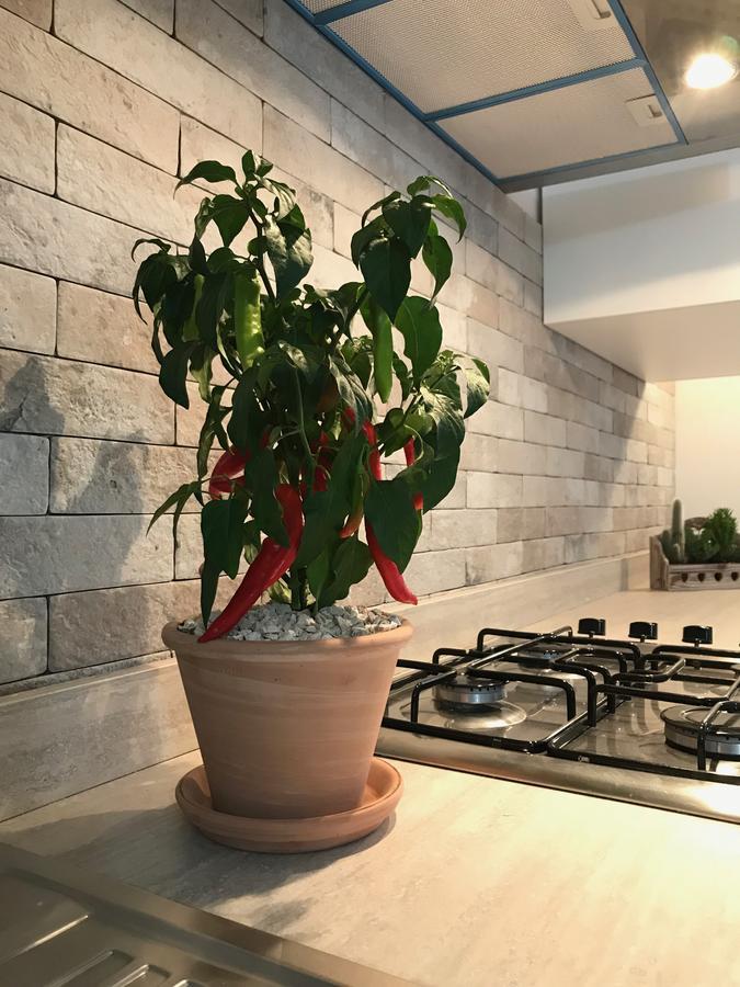 Bed and Breakfast Chiave D'Arco Selva Di Fasano Exterior foto
